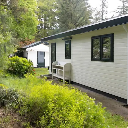 Chalet Enzerinck - Rustig, Comfortabel En Knus Chalet In Het Bos 2P Vorden Exterior photo