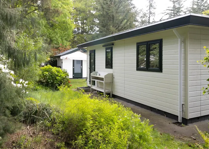Chalet Enzerinck - Rustig, Comfortabel En Knus Chalet In Het Bos 2P
