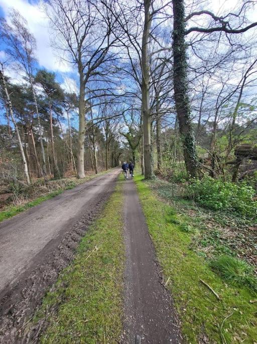 Chalet Enzerinck - Rustig, Comfortabel En Knus In Het Bos 2p *