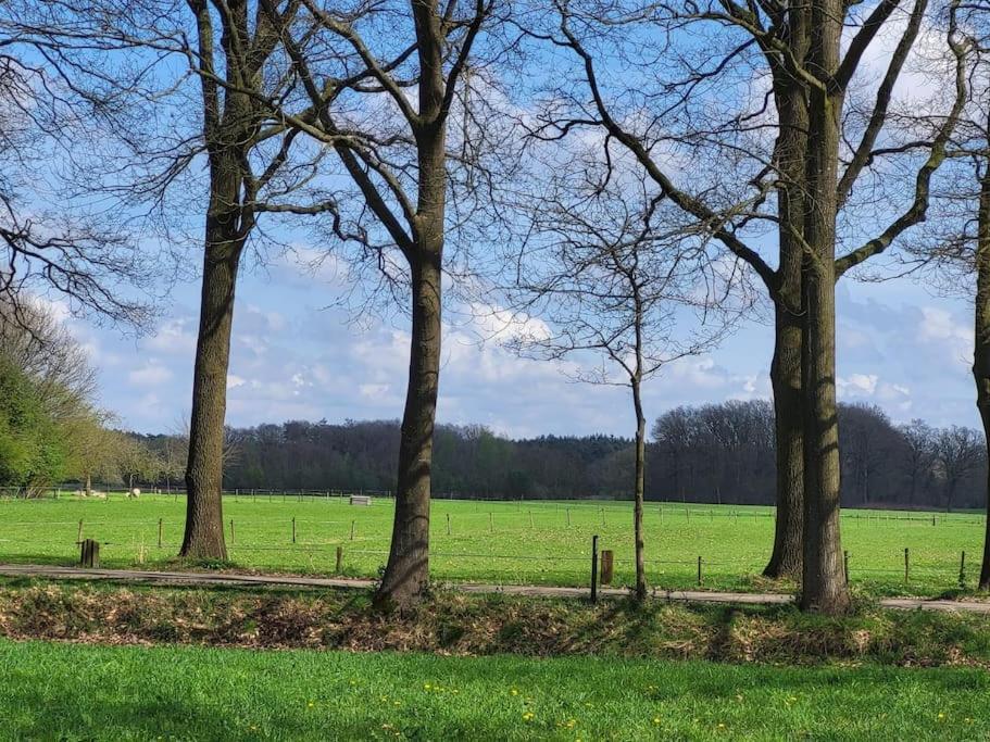 Enzerinck - Rustig, Comfortabel En Knus In Het Bos 2p Vorden
